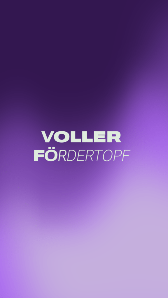 Voller Fördertopf bei KMU Digital - erklär's mir zeigt wie's geht